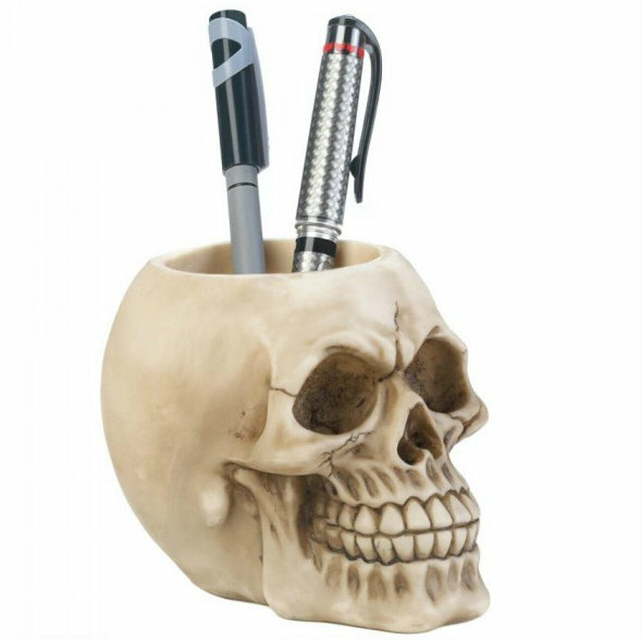 Skull Pen Holder